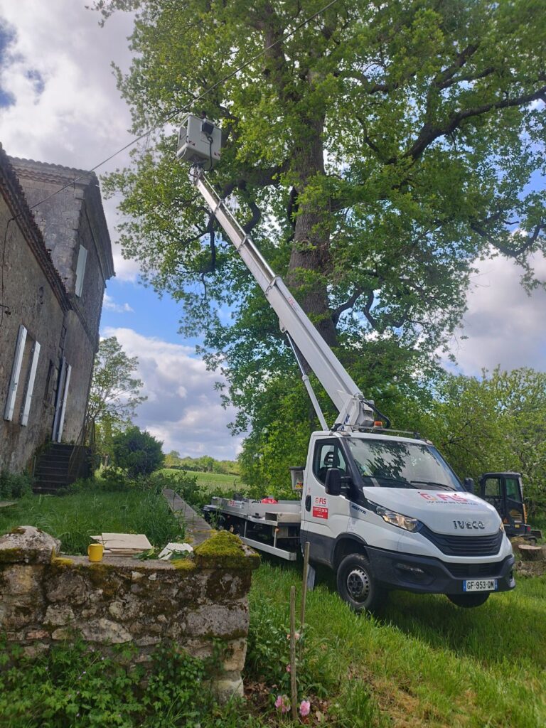 Élagage de Pierre Rénov TP à Labescau