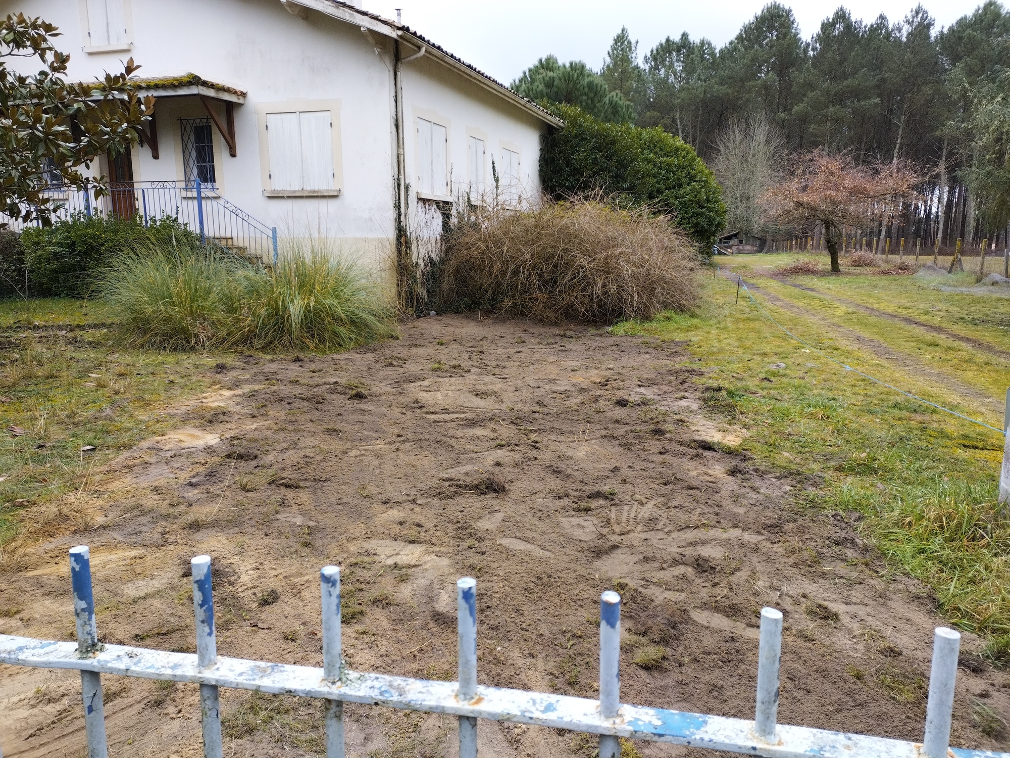 Maison blanche de campagne avec clôture, jardin en terre, tas de branches et chemin vers une dense forêt de pins.