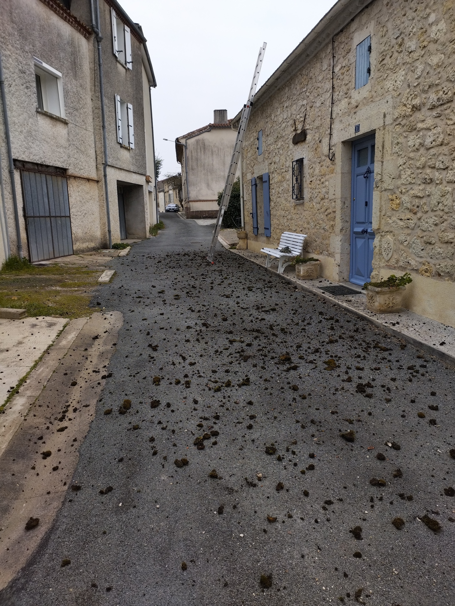 Rue de village pavée de gravier, jonchée de mottes de terre. Maisons en pierre et crépi, volets bleus/blancs, échelle. Porte bleue num. 1.